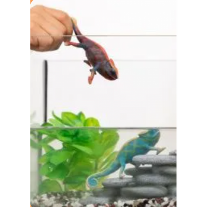 Schleich 14858 Zvířátko Chameleon