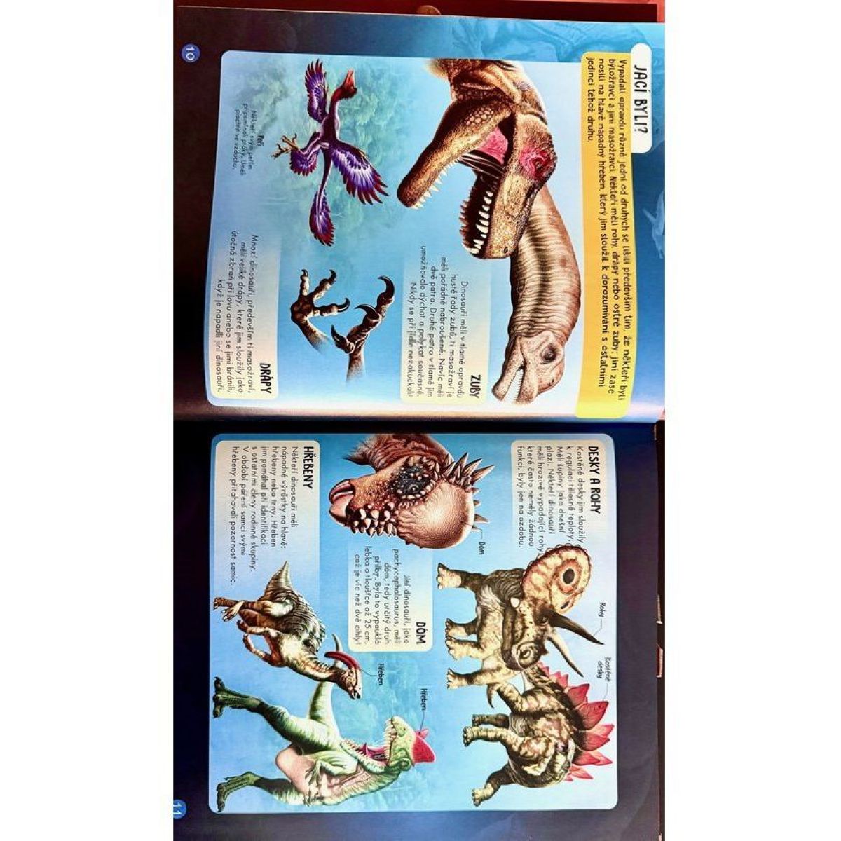 ÚŽASNÍ DINOSAUŘI - 3D MODEL - Zábavní encyklopedie, čti, uč se a skládej