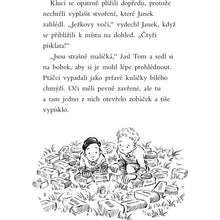 Fragment Příběhy se šťastným koncem Zachráněná sovička