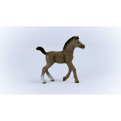 Schleich 13957 Zvířátko Hříbě plemene Selle Français