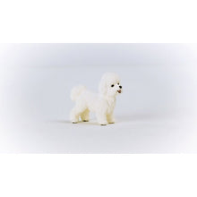 Schleich 13963 Zvířátko Bišon frisé
