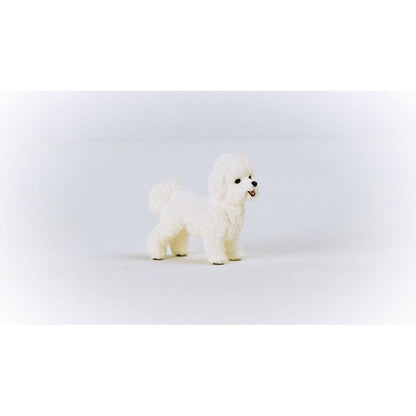 Schleich 13963 Zvířátko Bišon frisé