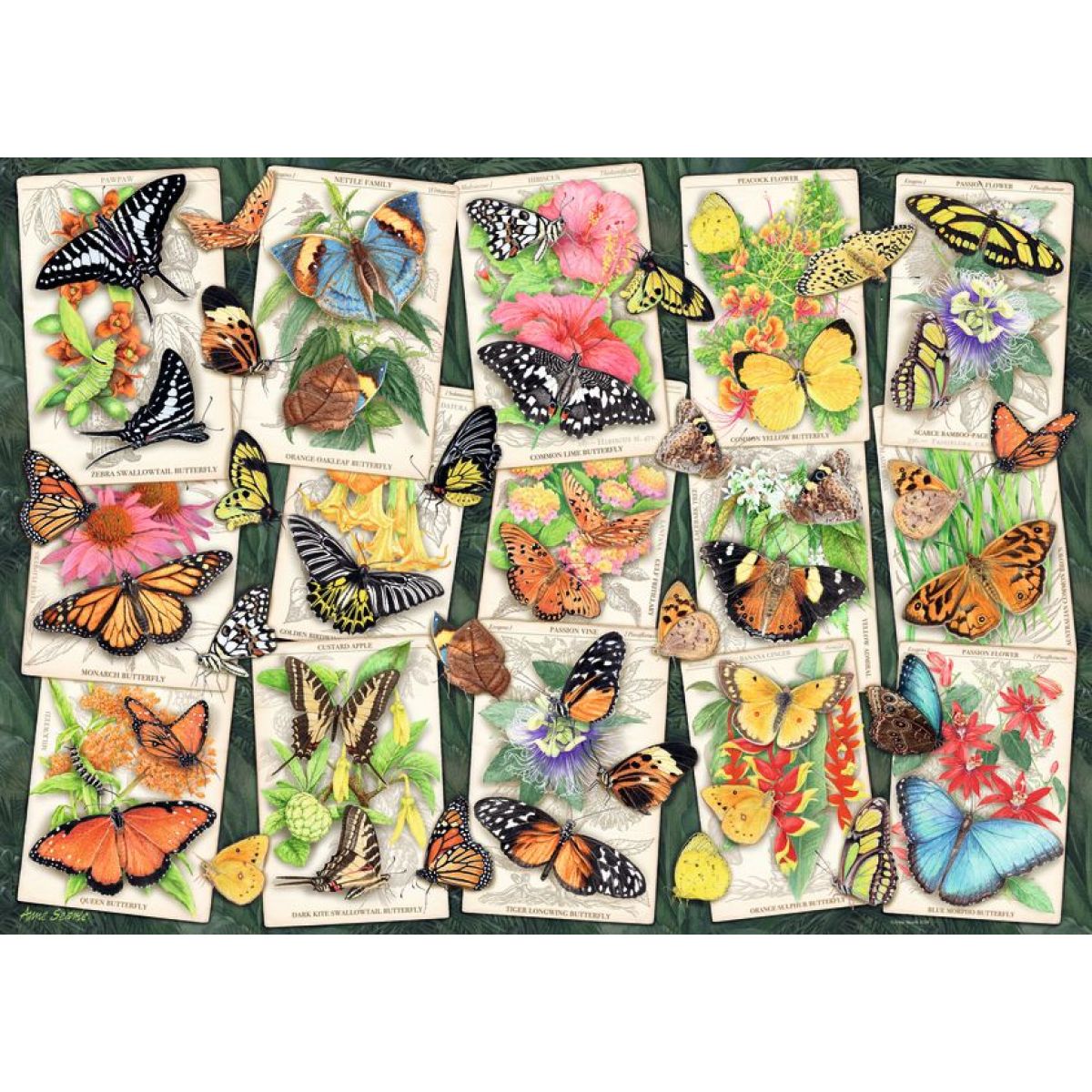 Ravensburger 176243 Tropičtí motýli 1000 dílků