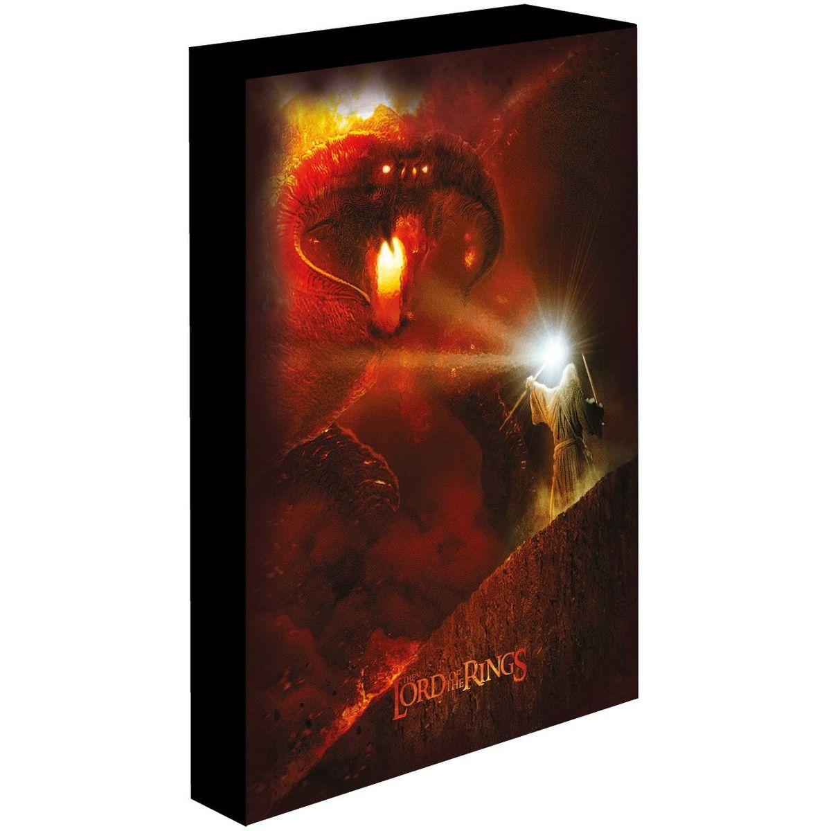 Pyramid International Pán Prstenů Obraz LED svítící 30x40 cm Balrog