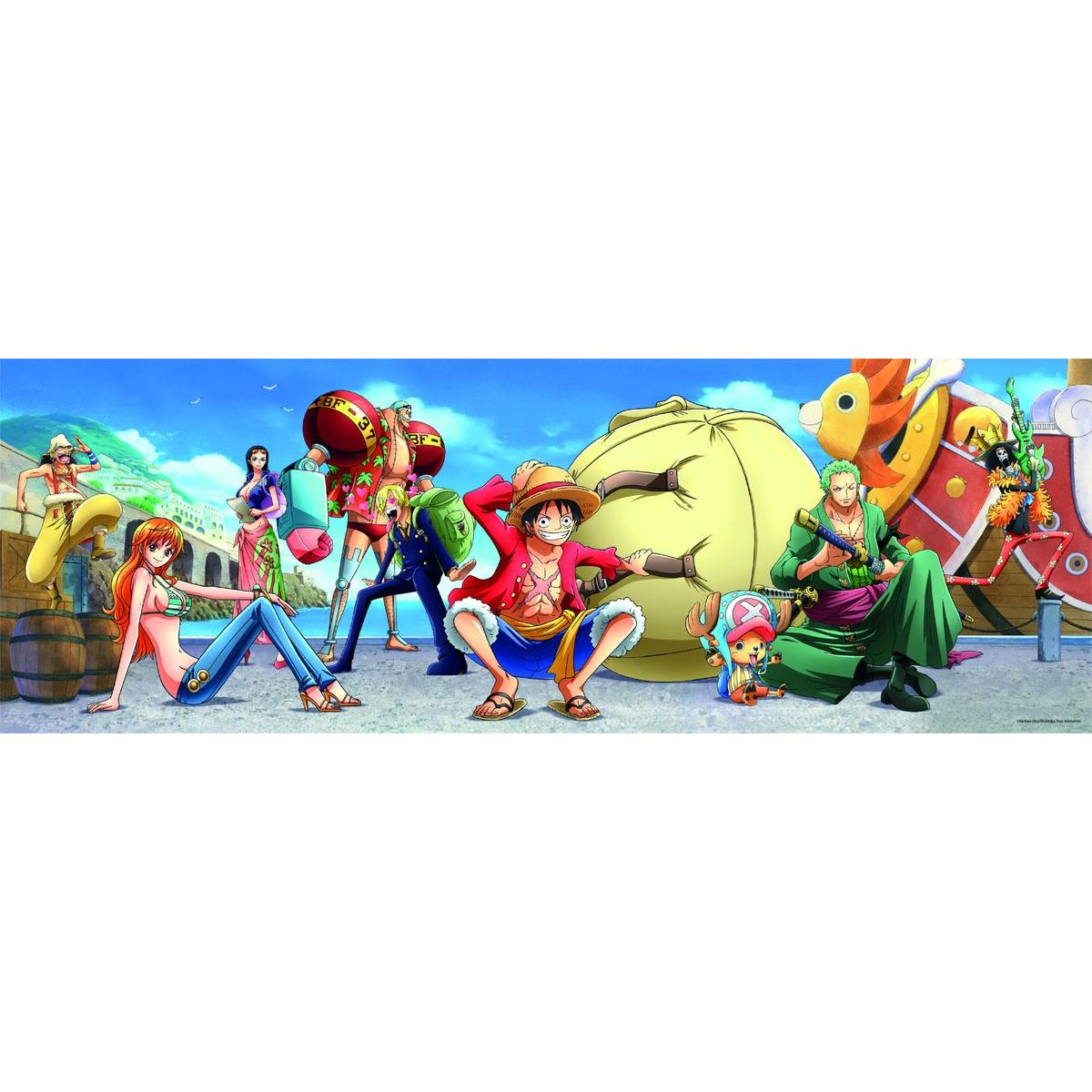 Clementoni puzzle 1000 Panorama One piece