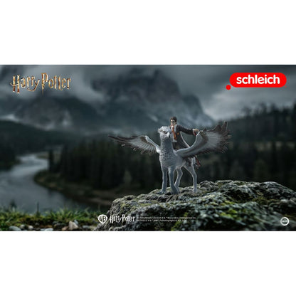 Schleich Harry Potter -Harry Potter na Klofanovi