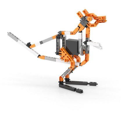 Engino Creative Builder 50 modelů s motorkem
