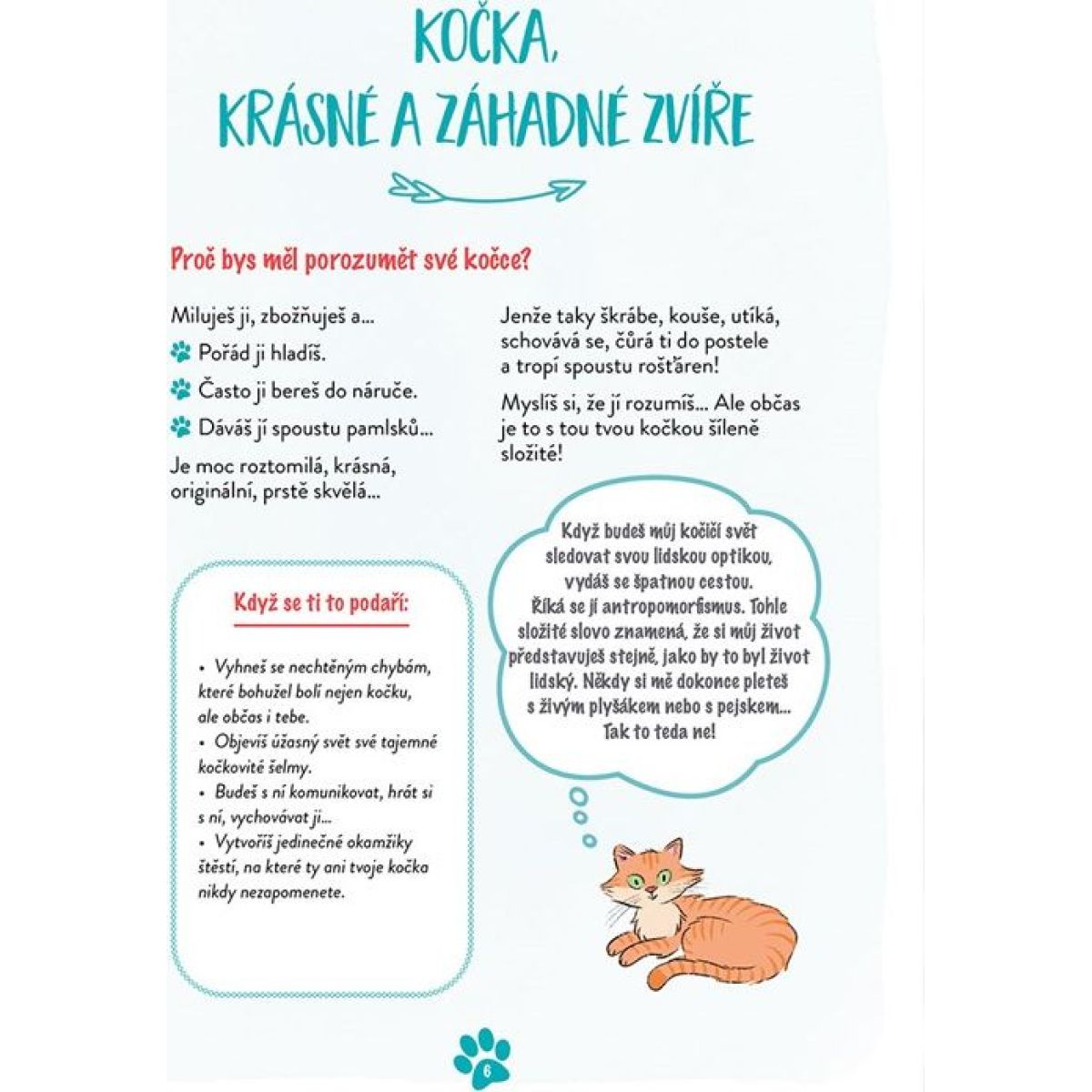 Rozumím své kočce
