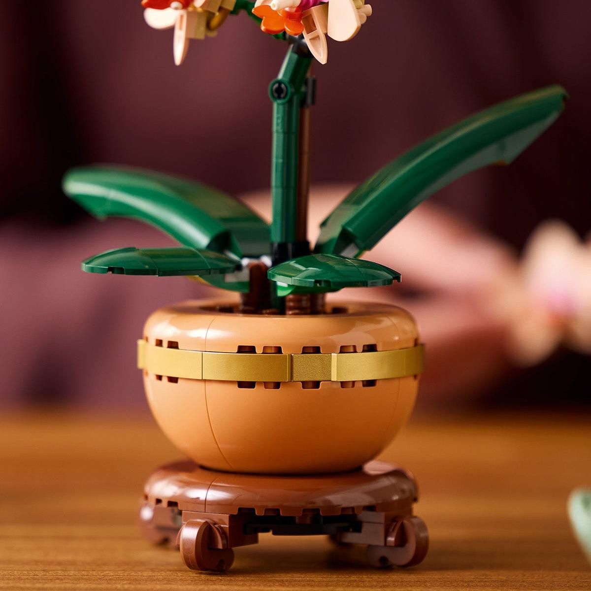 LEGO® Botanicals 10343 Miniaturní orchidej