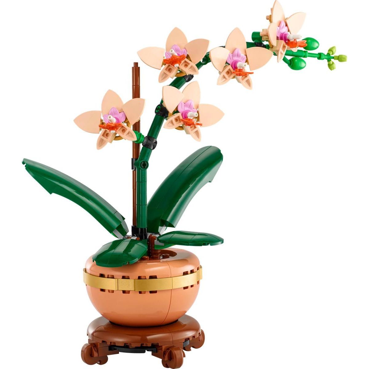 LEGO® Botanicals 10343 Miniaturní orchidej