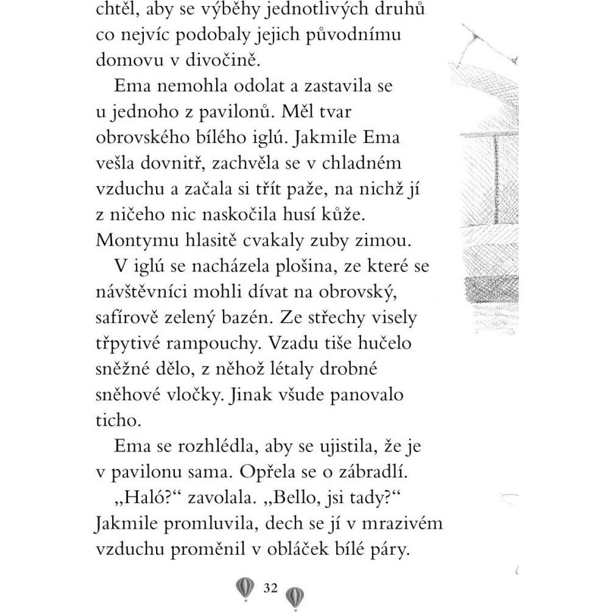 Ema a její kouzelná zoo - Osamělé lvíče - Amelia Cobb