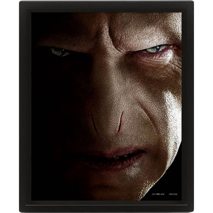 3D obraz Harry Potter Harry vs. Voldemort