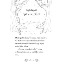 Příběhy z Vrbového hájku - Lištička a víla