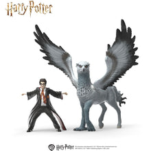 Schleich Harry Potter -Harry Potter na Klofanovi