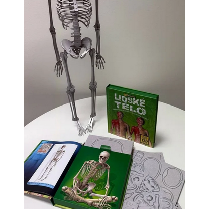 Lidské tělo - 3D MODEL - Zábavná encyklopedie