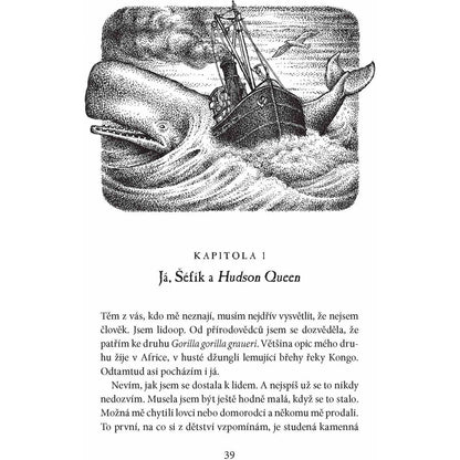 Sally Jones a dopis od mrtvého Jakob Wegelius