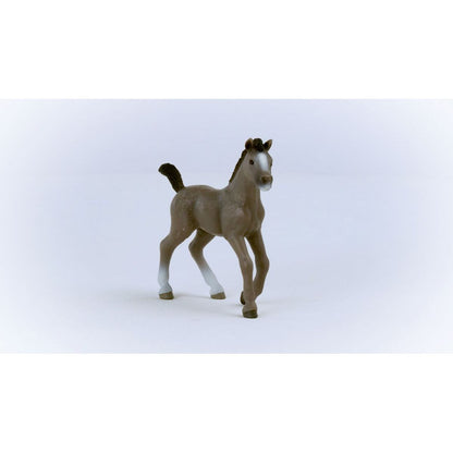 Schleich 13957 Zvířátko Hříbě plemene Selle Français
