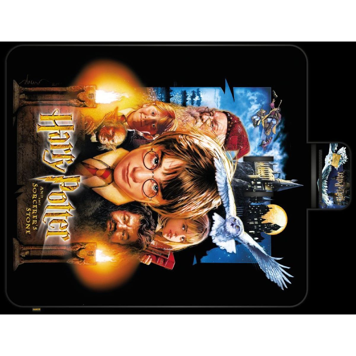 Bluesky Harry Potter 20 let Pikniková deka