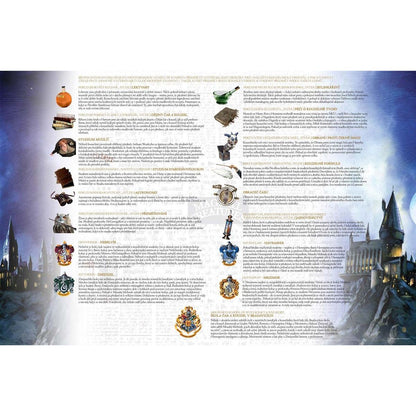 Efko Harry Potter Famfrpál - rodinná společenská hra