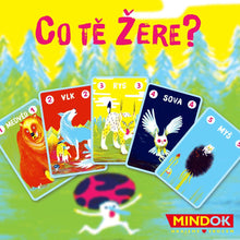 Mindok Co tě žere