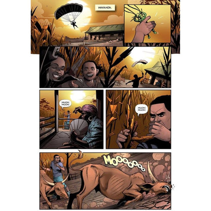 Marvel Action - Black Panther - Bouřlivé počasí