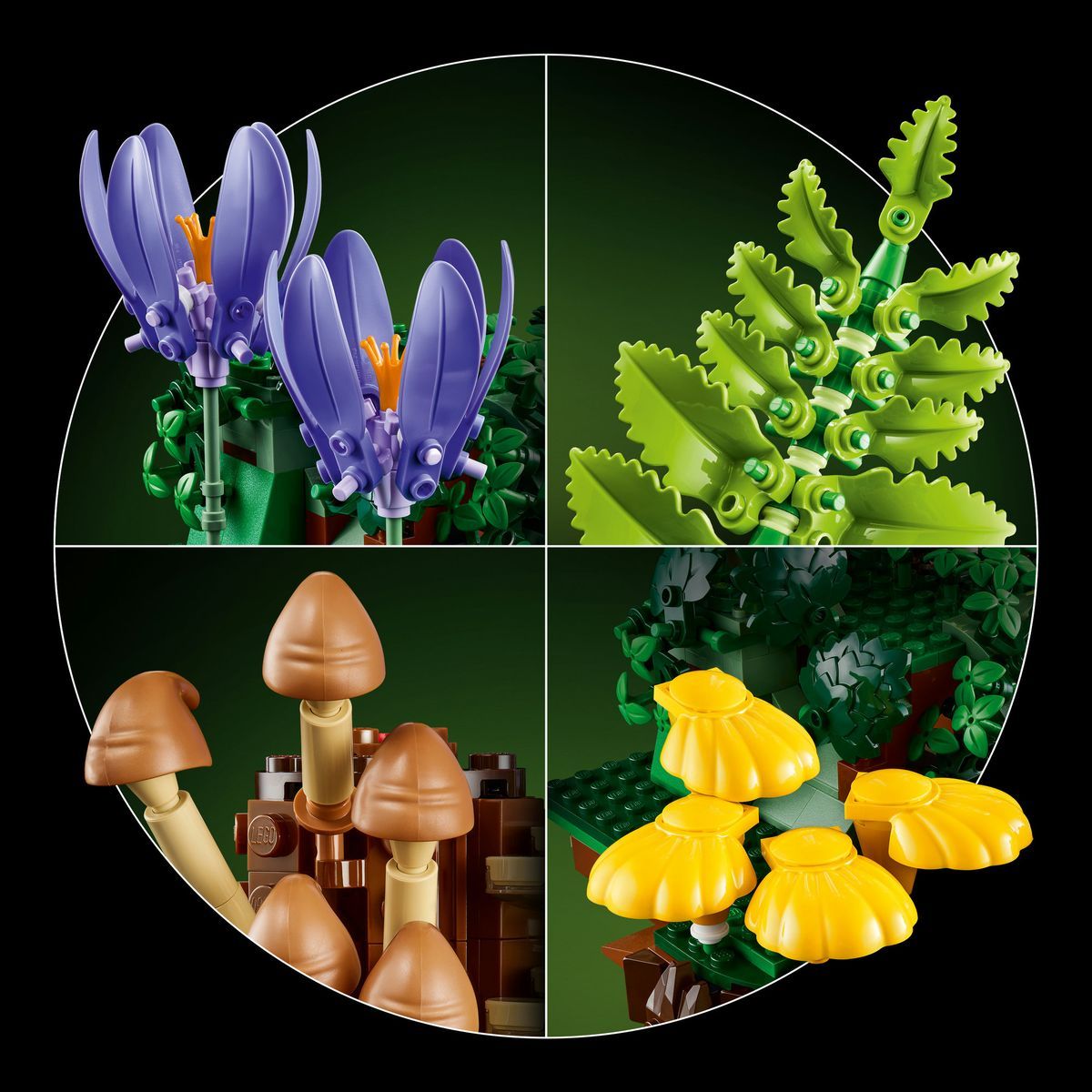 LEGO® Botanicals 11505 Lesní houby