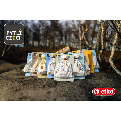 Efko Pytlíczech Dáma - logická hra do kapsy