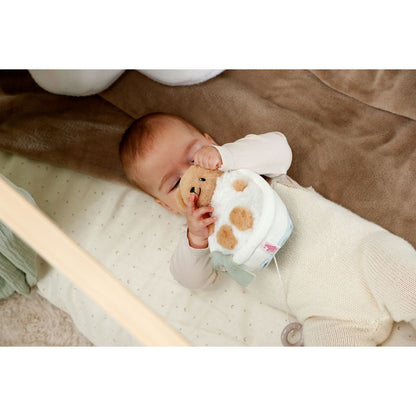BABY born for babies Hrající Teddy