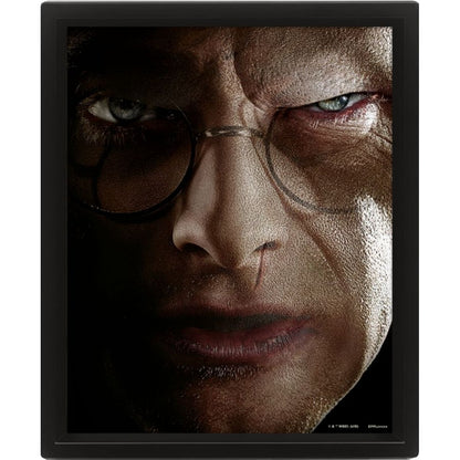 3D obraz Harry Potter Harry vs. Voldemort