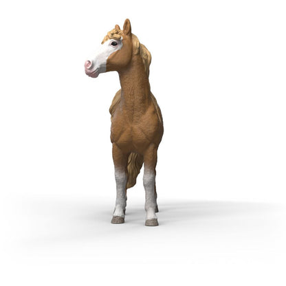 Schleich Zvířátko - klisna mustanga