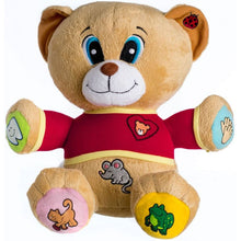 Teddies Medvěd Tedík mluvící