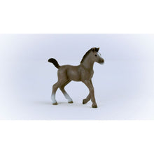 Schleich 13957 Zvířátko Hříbě plemene Selle Français