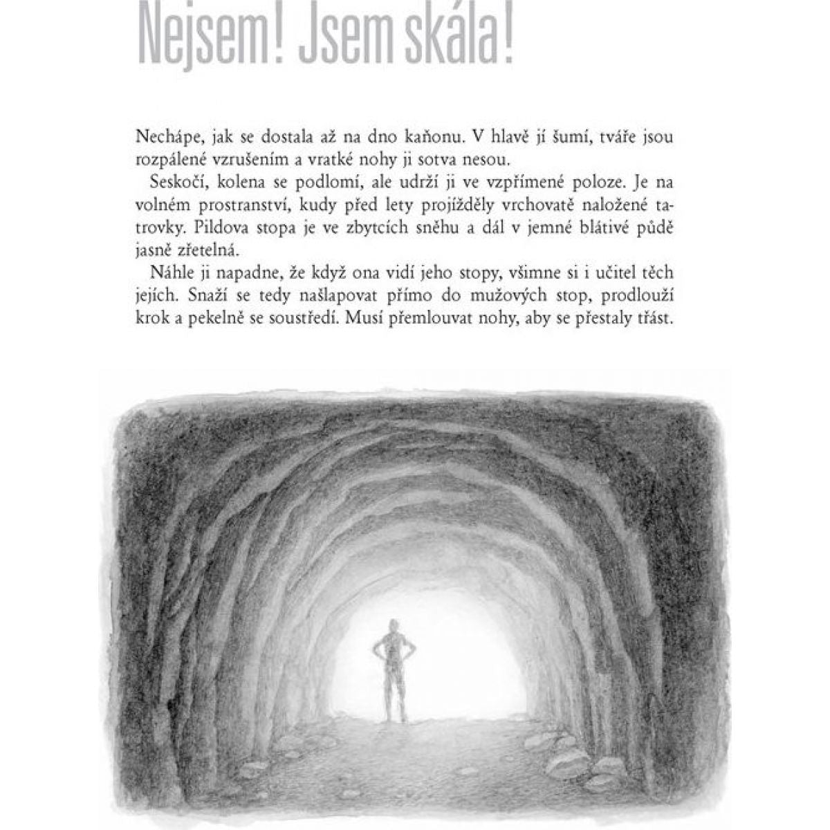 Žeberův odkaz David Jan Žák