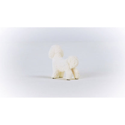 Schleich 13963 Zvířátko Bišon frisé