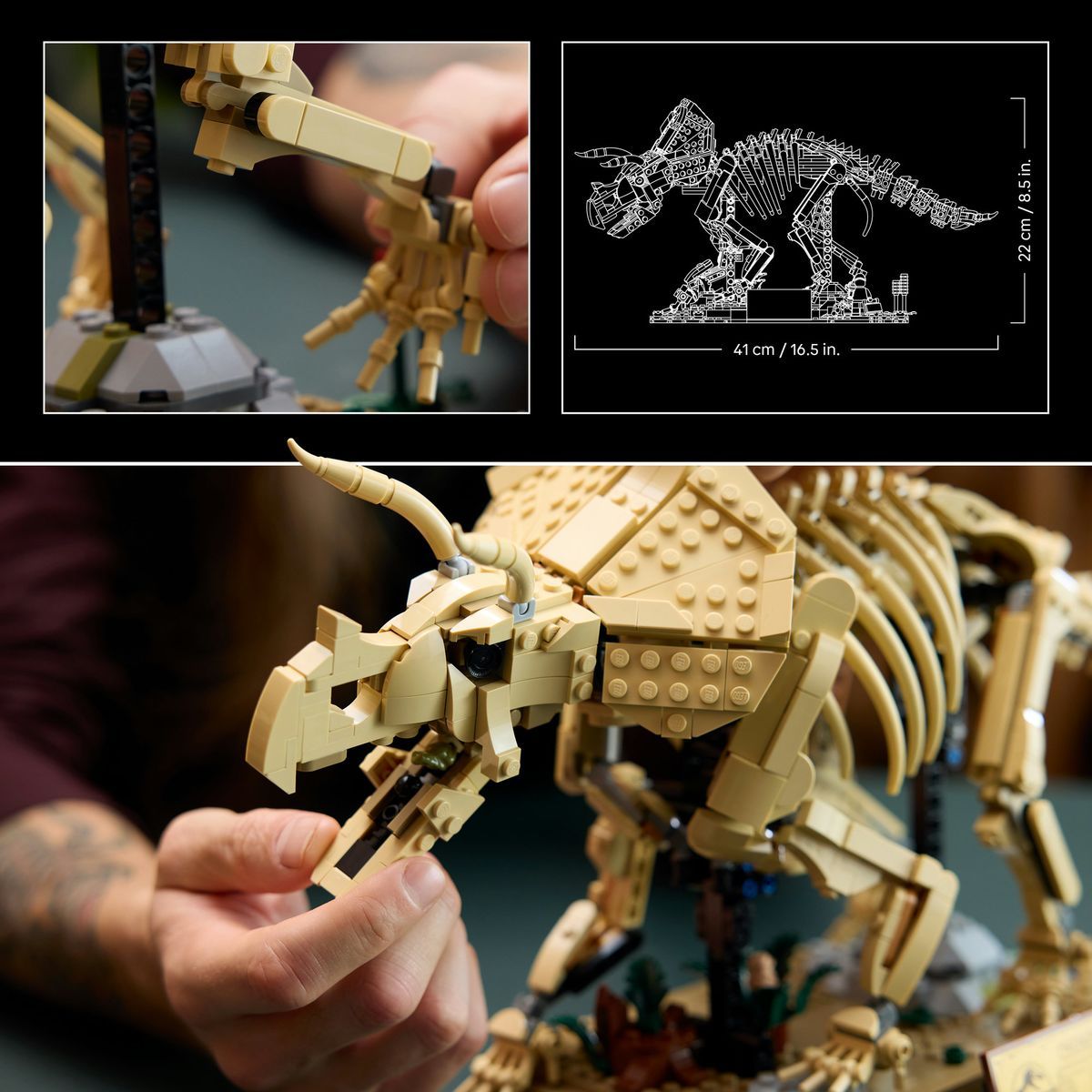 LEGO® Jurassic World 77985 Dinosauří fosilie: Triceratops