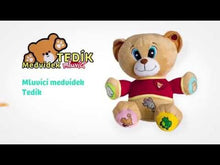 Teddies Medvěd Tedík mluvící